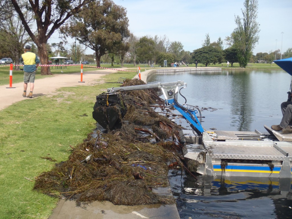 Clearing Of Waterways | Australian Aquatic Solutions